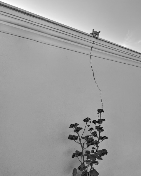 Photograph Ali Zolghadri The Watcher on One Eyeland